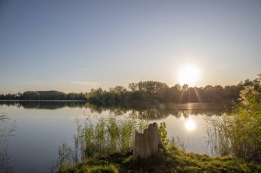 Akşamları Lakeshore, göl kıyısının güzel manzarası. Akşam güneşinde gölün üzerinden bak, Hesse, Almanya