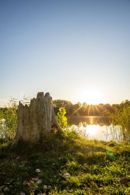 Akşamları Lakeshore, göl kıyısının güzel manzarası. Akşam güneşinde gölün üzerinden bak, Hesse, Almanya