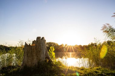 Akşamları Lakeshore, göl kıyısının güzel manzarası. Akşam güneşinde gölün üzerinden bak, Hesse, Almanya