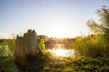 Akşamları Lakeshore, göl kıyısının güzel manzarası. Akşam güneşinde gölün üzerinden bak, Hesse, Almanya
