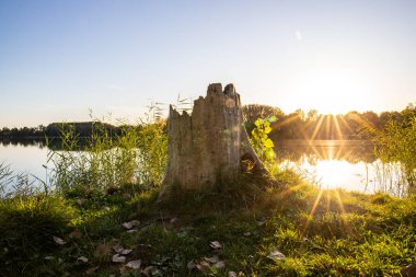 Akşamları Lakeshore, göl kıyısının güzel manzarası. Akşam güneşinde gölün üzerinden bak, Hesse, Almanya