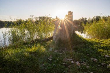Akşamları Lakeshore, göl kıyısının güzel manzarası. Akşam güneşinde gölün üzerinden bak, Hesse, Almanya