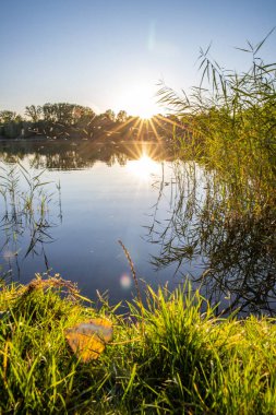 Akşamları Lakeshore, göl kıyısının güzel manzarası. Akşam güneşinde gölün üzerinden bak, Hesse, Almanya