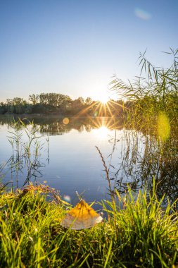 Akşamları Lakeshore, göl kıyısının güzel manzarası. Akşam güneşinde gölün üzerinden bak, Hesse, Almanya