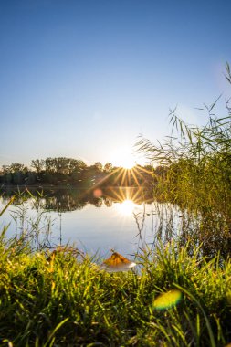 Akşamları Lakeshore, göl kıyısının güzel manzarası. Akşam güneşinde gölün üzerinden bak, Hesse, Almanya