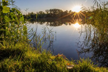 Akşamları Lakeshore, göl kıyısının güzel manzarası. Akşam güneşinde gölün üzerinden bak, Hesse, Almanya