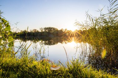 Akşamları Lakeshore, göl kıyısının güzel manzarası. Akşam güneşinde gölün üzerinden bak, Hesse, Almanya