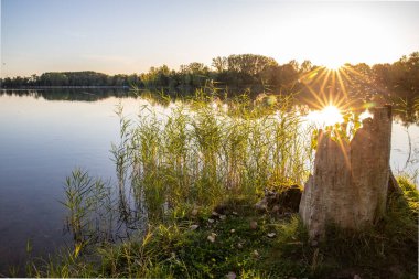 Akşamları Lakeshore, göl kıyısının güzel manzarası. Akşam güneşinde gölün üzerinden bak, Hesse, Almanya