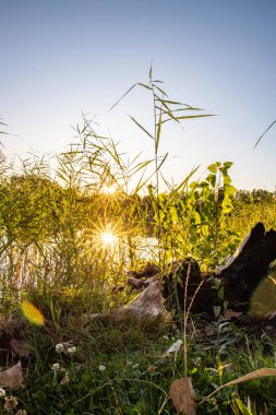 Akşamları Lakeshore, göl kıyısının güzel manzarası. Akşam güneşinde gölün üzerinden bak, Hesse, Almanya