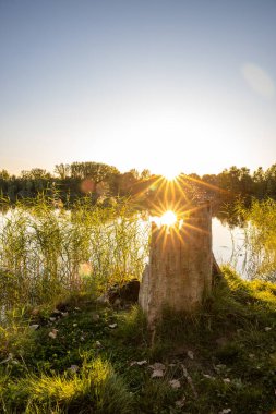 Akşamları Lakeshore, göl kıyısının güzel manzarası. Akşam güneşinde gölün üzerinden bak, Hesse, Almanya