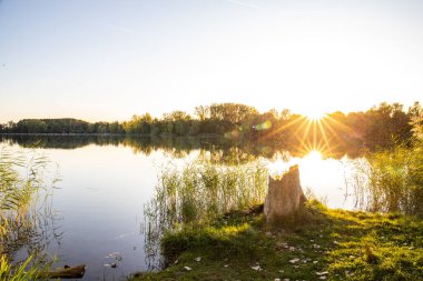 Akşamları Lakeshore, göl kıyısının güzel manzarası. Akşam güneşinde gölün üzerinden bak, Hesse, Almanya