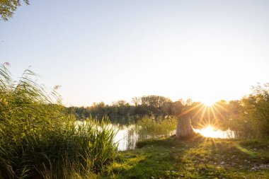 Akşamları Lakeshore, göl kıyısının güzel manzarası. Akşam güneşinde gölün üzerinden bak, Hesse, Almanya