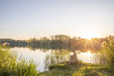 Akşamları Lakeshore, göl kıyısının güzel manzarası. Akşam güneşinde gölün üzerinden bak, Hesse, Almanya