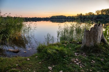 Akşamları Lakeshore, göl kıyısının güzel manzarası. Akşam güneşinde gölün üzerinden bak, Hesse, Almanya
