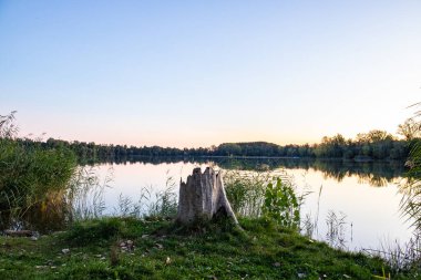 Akşamları Lakeshore, göl kıyısının güzel manzarası. Akşam güneşinde gölün üzerinden bak, Hesse, Almanya