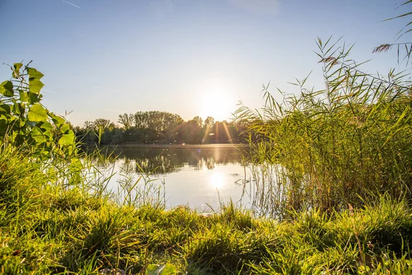 Akşamları Lakeshore, göl kıyısının güzel manzarası. Akşam güneşinde gölün üzerinden bak, Hesse, Almanya