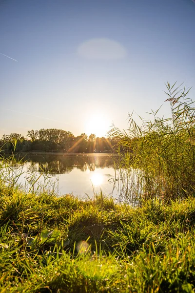 Akşamları Lakeshore, göl kıyısının güzel manzarası. Akşam güneşinde gölün üzerinden bak, Hesse, Almanya