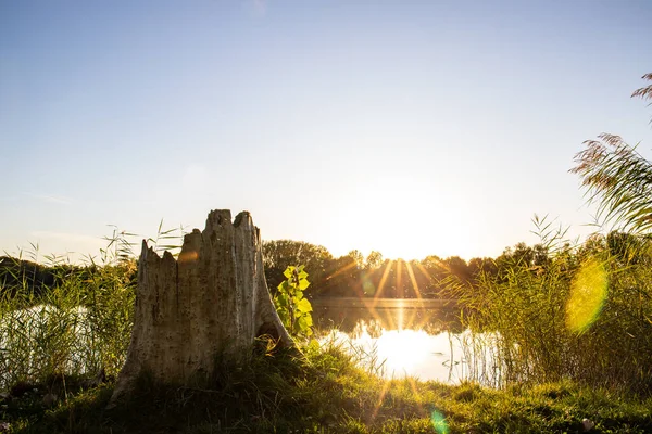 Akşamları Lakeshore, göl kıyısının güzel manzarası. Akşam güneşinde gölün üzerinden bak, Hesse, Almanya
