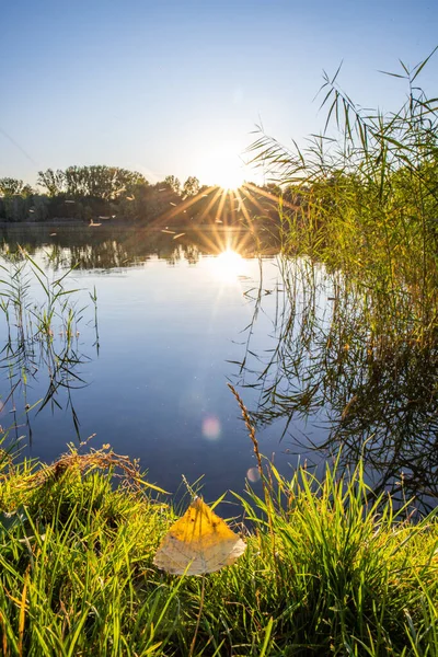 Akşamları Lakeshore, göl kıyısının güzel manzarası. Akşam güneşinde gölün üzerinden bak, Hesse, Almanya