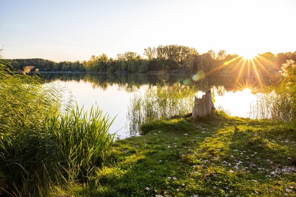Akşamları Lakeshore, göl kıyısının güzel manzarası. Akşam güneşinde gölün üzerinden bak, Hesse, Almanya