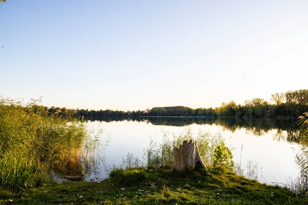 Akşamları Lakeshore, göl kıyısının güzel manzarası. Akşam güneşinde gölün üzerinden bak, Hesse, Almanya