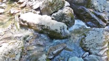 dağ nehir. taşları yakınındaki su hareketi
