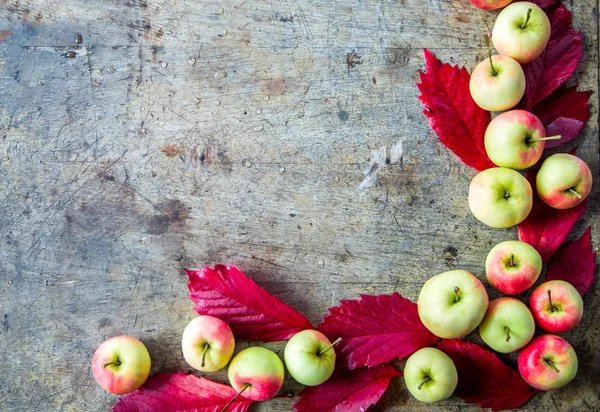 Elma üzüm eski kurullarında bırakır. Sonbahar, dikey arka plan.