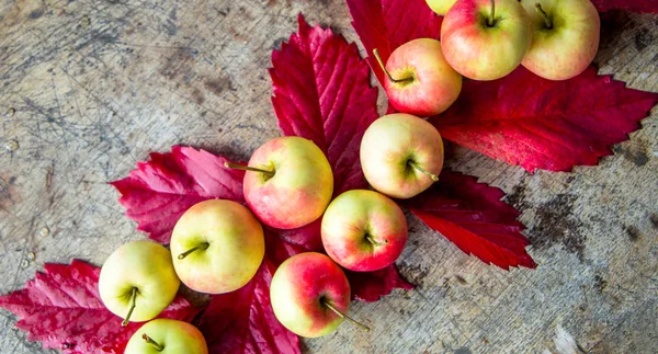Manzanas hojas de uva en tablas viejas. otoño, fondo vertical otoñal . —  Fotos de Stock