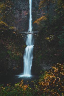 Multnomah Falls, Oregon, huşu içinde ayakta