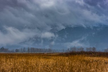 Sisli dağları olan güzel bir manzara.