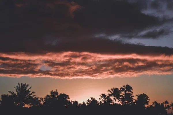 Dramatic sunset clouds over silhouetted palm trees, Kauai Hawaii