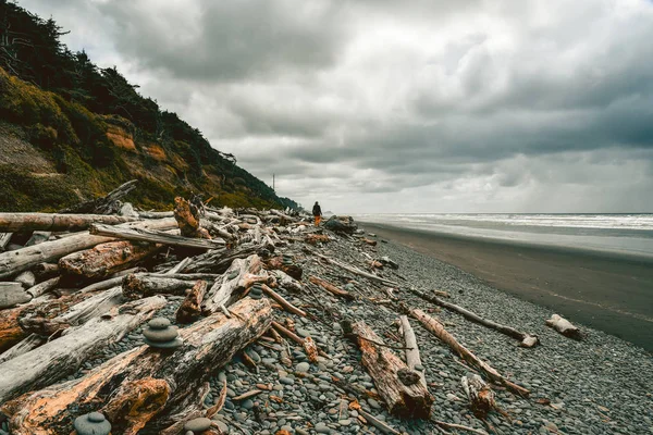 Deniz kıyısının güzel manzarası