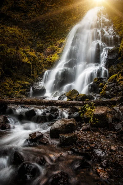 Belle Chute Eau Cascade Dans Les Gorges Fleuve Columbia Oregon — Photo