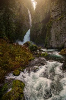 Ormanda güzel bir şelale