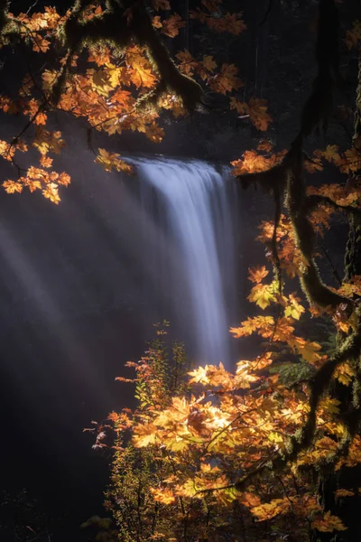 Ormanda şelale, sonbahar mevsimi