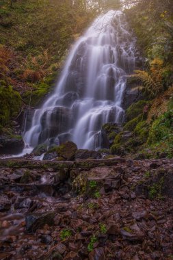 Ormanda güzel bir şelale