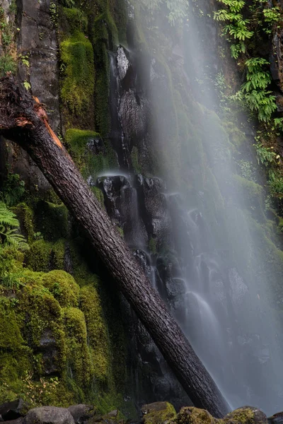 Ormanda güzel bir şelale