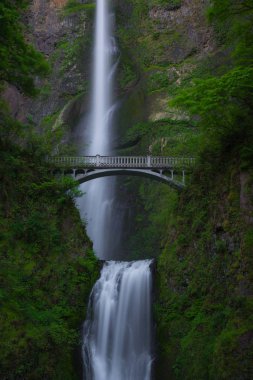 Ormanda güzel bir şelale