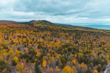 Renkli yeşilliklerle sonbahar ormanının havadan görünüşü.