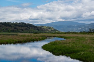 Dağlardaki bir nehrin manzarası