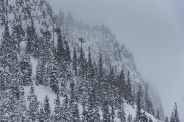 Dağlarda kış manzarası, karla kaplı ağaçlar.