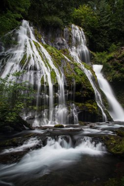 Panter Creek Falls, Washington
