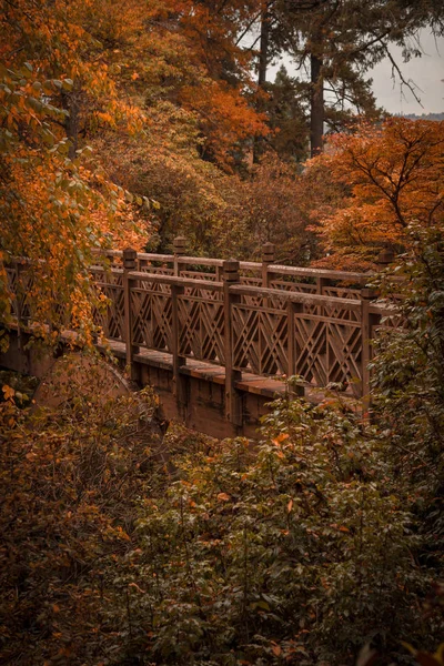Sonbahar zen bahçesindeki köprü