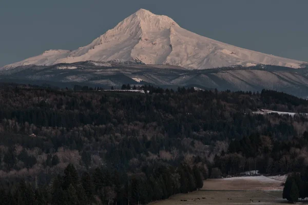 Oregon 'da başlık. 