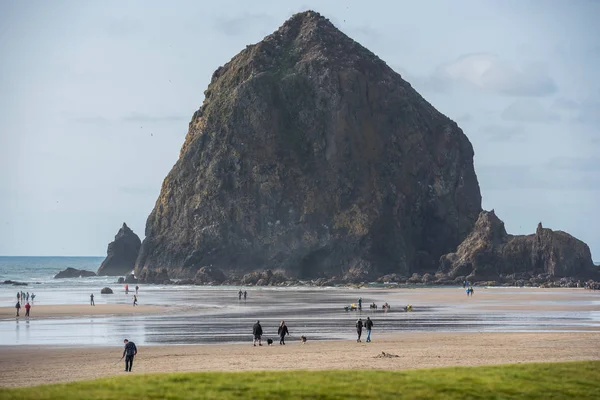 Oregon 'un kuzeyindeki ünlü plaj.