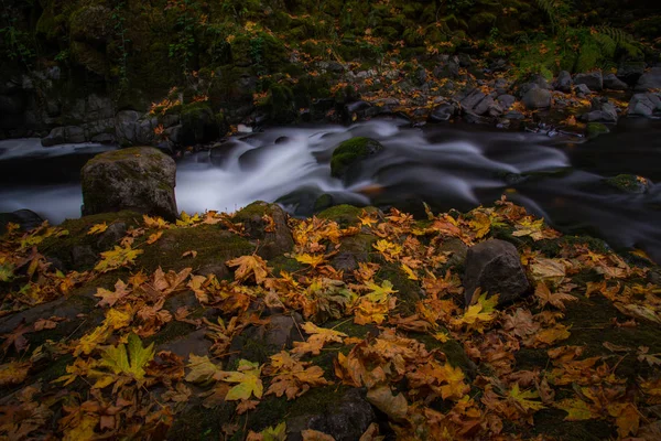 Autumn Landscape Colorful Waterfall — Stock Photo, Image