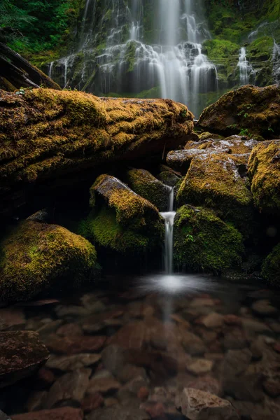 Scène Luxuriante Eau Courante Dans Une Forêt Oregon — Photo