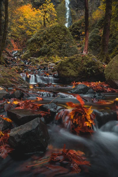 Schöner Wasserfall Herbstlichen Wald — Stockfoto