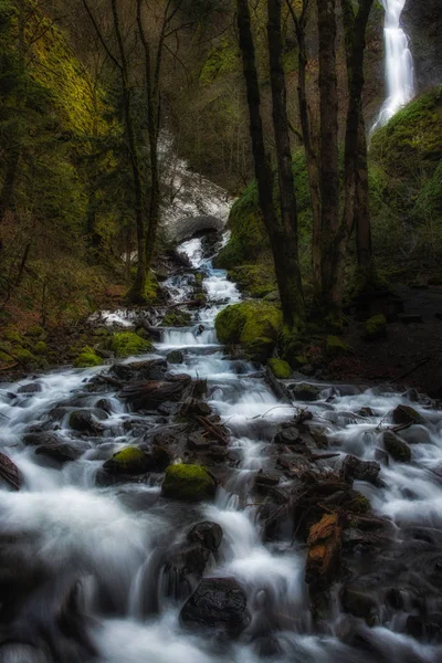 Cascade Dans Les Bois — Photo