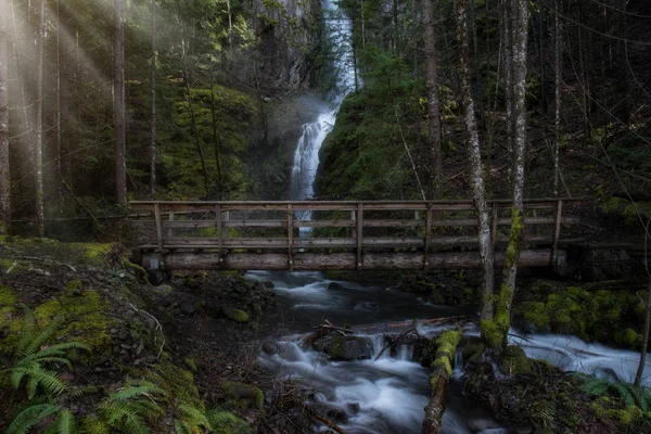 Skog Vattenfall Och Bron — Stockfoto